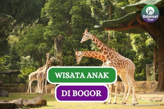 5 Wisata Anak di Bogor yang Cocok Dikunjungi saat Libur Sekolah